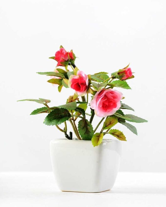 13CM ROSE IN CERAMIC POT GS-0338105 1 13CM ROSE IN CERAMIC POT GS-0338105