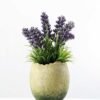 LAVENDER IN PAPER POT H:6.8" GS-0338449