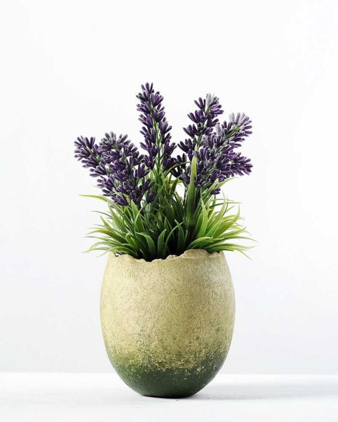 LAVENDER IN PAPER POT H:6.8" GS-0338449