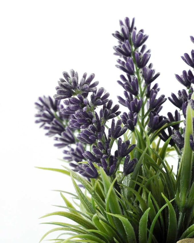 LAVENDER IN PAPER POT H:6.8" GS-0338449