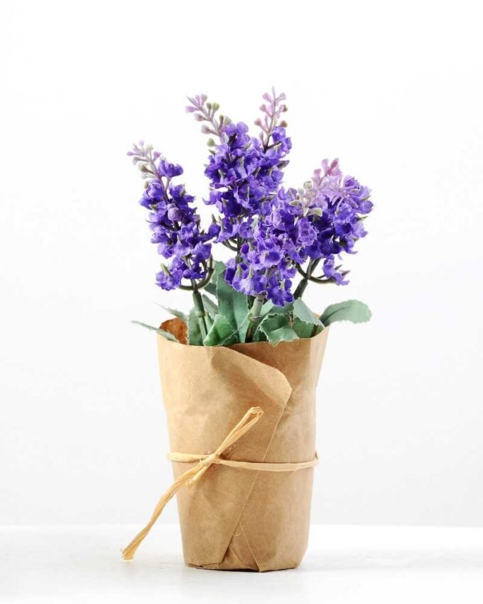LAVENDER WRAPED WITH PAPER H:7 LAVENDER WRAPED WITH PAPER H:7.5" GS-0338642