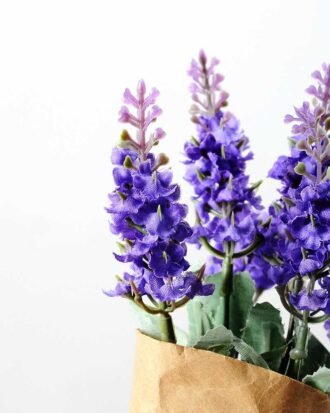 LAVENDER WRAPED WITH PAPER H:7.5" GS-0338642