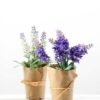 LAVENDER WRAPED WITH PAPER H:7 LAVENDER WRAPED WITH PAPER H:7.5" GS-0338642