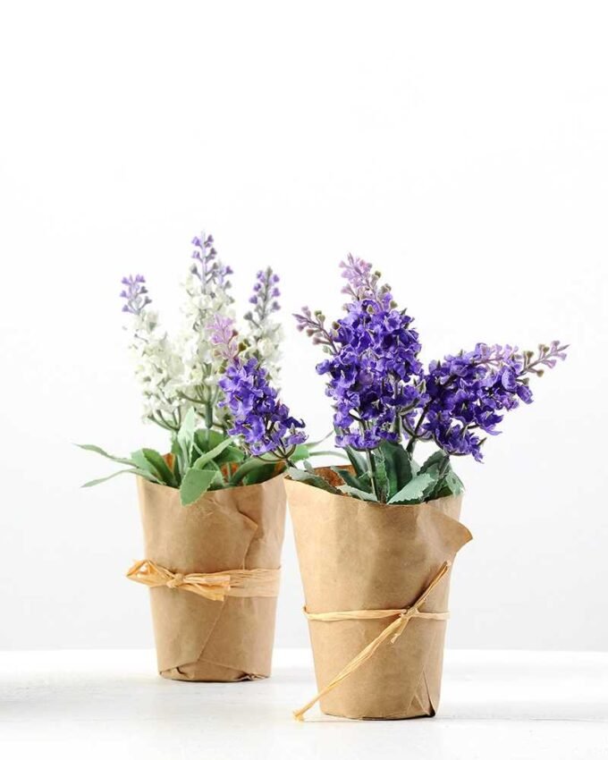 LAVENDER WRAPED WITH PAPER H:7 LAVENDER WRAPED WITH PAPER H:7.5" GS-0338642