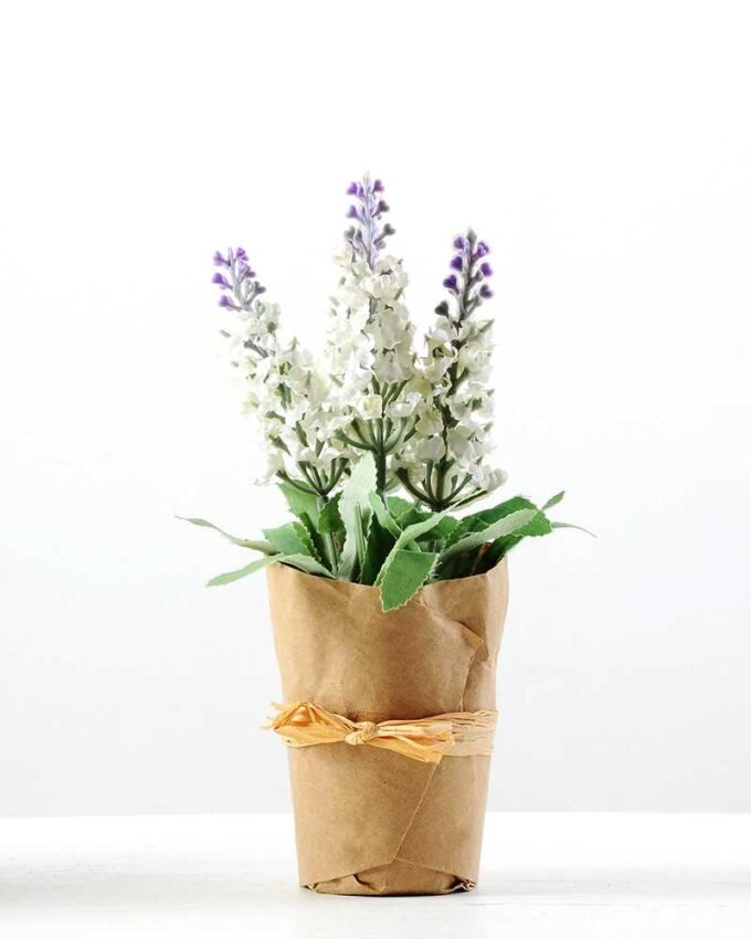 LAVENDER WRAPED WITH PAPER H:7 LAVENDER WRAPED WITH PAPER H:7.5" GS-0338642