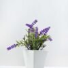 potted ceramic lavender H:7.5" GS-0338845