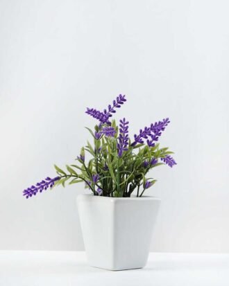 potted ceramic lavender H:7.5" GS-0338845
