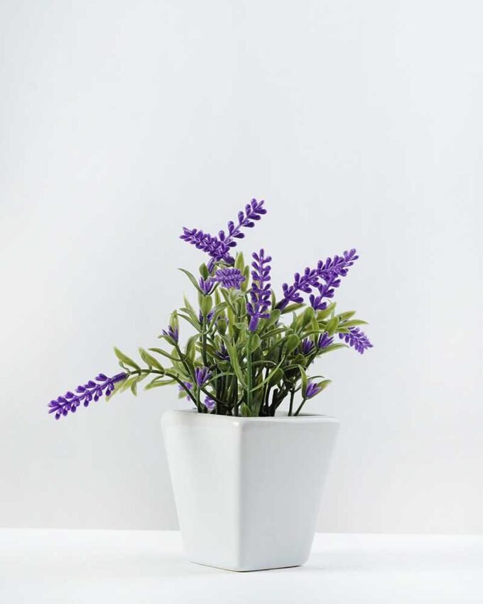 potted ceramic lavender H:7.5" GS-0338845