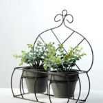 11"Eucalyptus pottde in iron case GS-0339049