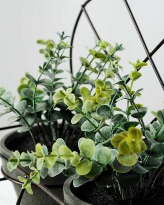 11"Eucalyptus pottde in iron case GS-0339049