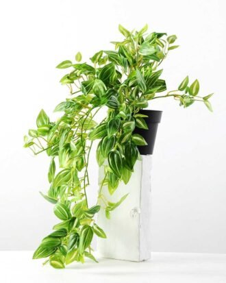 H:23CM IVY VINE POTTED GS-0339168