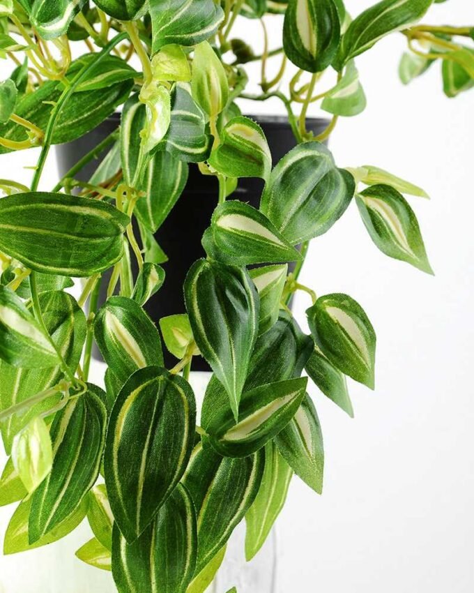 H:23CM IVY VINE POTTED GS-0339168