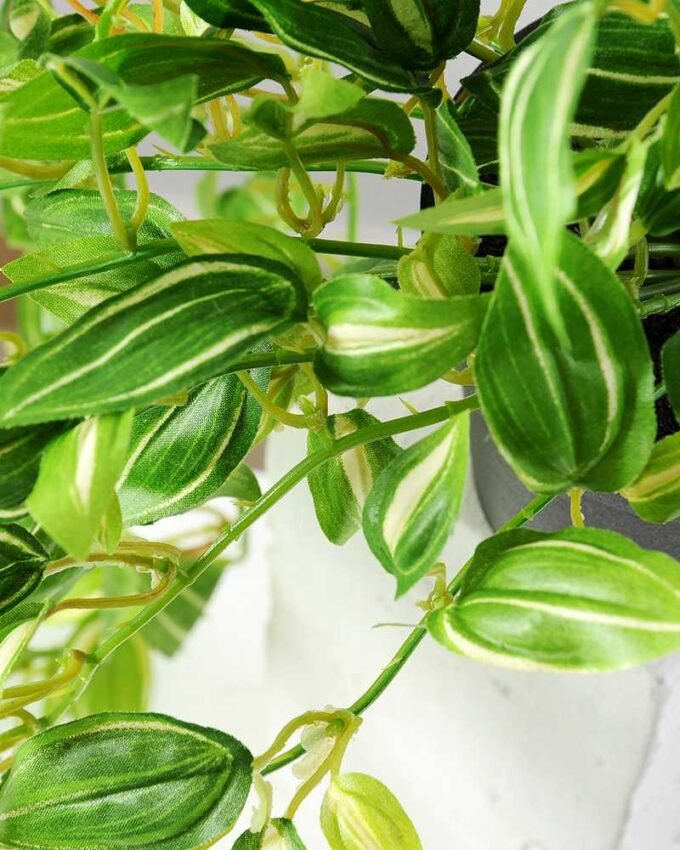 H:23CM IVY VINE POTTED GS-0339168