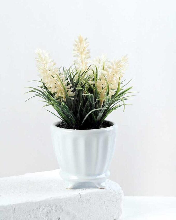 LAVENDER IN CERAMIC POT H:15CM GS-0339264SFJ 1 LAVENDER IN CERAMIC POT H:15CM GS-0339264SFJ