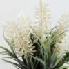 LAVENDER IN CERAMIC POT H:15CM GS-0339264SFJ 2 LAVENDER IN CERAMIC POT H:15CM GS-0339264SFJ