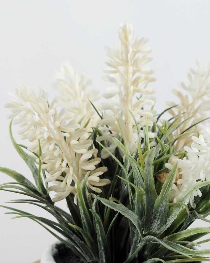 LAVENDER IN CERAMIC POT H:15CM GS-0339264SFJ 2 LAVENDER IN CERAMIC POT H:15CM GS-0339264SFJ
