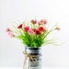 Potted chrysanthemum GS-0339354