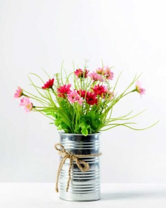 Potted chrysanthemum GS-0339354
