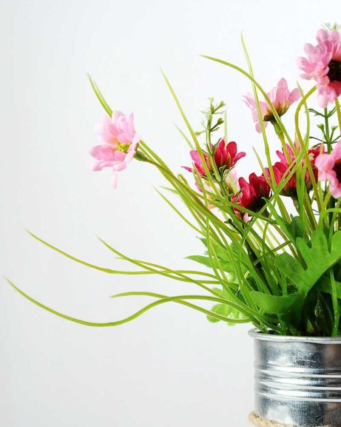 Potted chrysanthemum GS-0339354