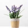 Lavender pot GS-0339546 1 Lavender pot GS-0339546