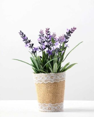 Lavender pot GS-0339546