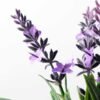 Lavender pot GS-0339546 2 Lavender pot GS-0339546