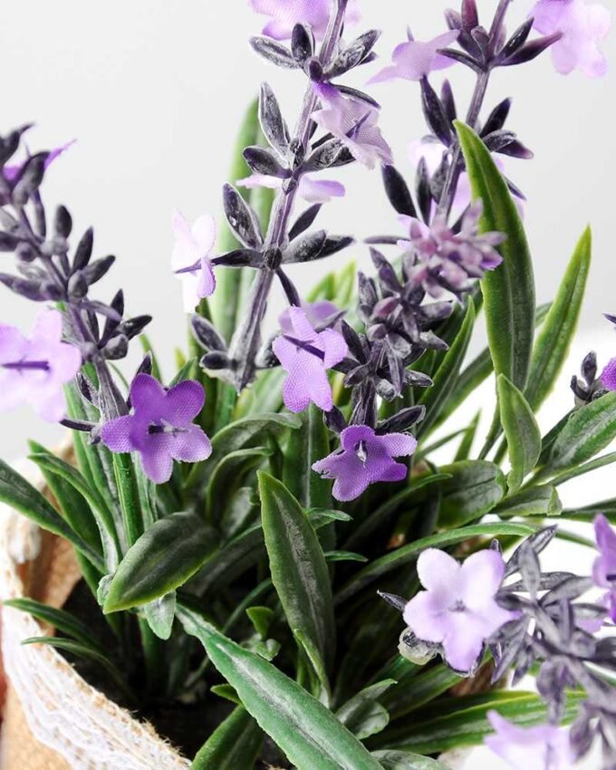 Lavender pot GS-0339546 3 Lavender pot GS-0339546