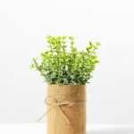H:20cm Eucalyptus in Burlap Wrap Pot GS-0339691