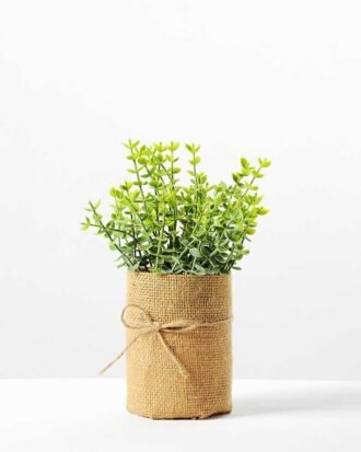 H:20cm Eucalyptus in Burlap Wrap Pot GS-0339691 Potted Flowers&Plants YeahFlower is one of Chinese leading OEM manufacturers and exporters , supplying the silk flowers, wholesale artificial trees H:20cm Eucalyptus in Burlap Wrap Pot GS-0339691