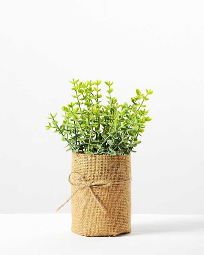 H:20cm Eucalyptus in Burlap Wrap Pot GS-0339691 1 H:20cm Eucalyptus in Burlap Wrap Pot GS-0339691