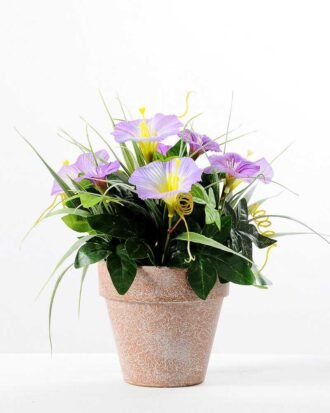 24CM petunia in PaPer PulP Pot GS-0339700 Potted Flowers&Plants YeahFlower is one of Chinese leading OEM manufacturers and exporters , supplying the silk flowers, wholesale artificial trees 24CM petunia in PaPer PulP Pot GS-0339700