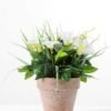 24CM petunia in PaPer PulP Pot GS-0339700 4 24CM petunia in PaPer PulP Pot GS-0339700