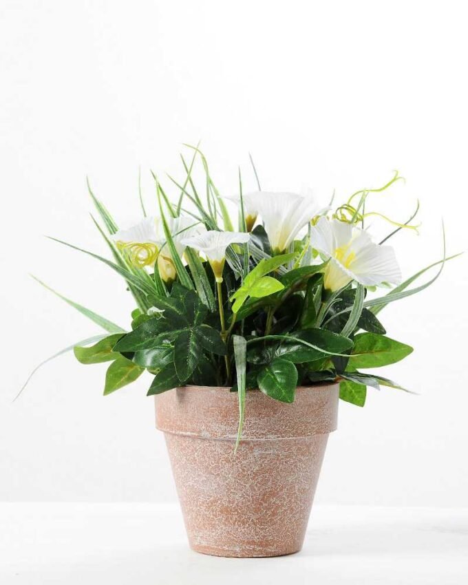 24CM petunia in PaPer PulP Pot GS-0339700 4 24CM petunia in PaPer PulP Pot GS-0339700