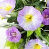 24CM petunia in PaPer PulP Pot GS-0339700 2 24CM petunia in PaPer PulP Pot GS-0339700