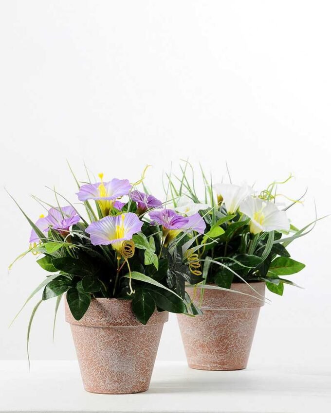 24CM petunia in PaPer PulP Pot GS-0339700 3 24CM petunia in PaPer PulP Pot GS-0339700