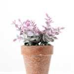 18CM eucalyptus in PaPer PulP Pot GS-0339709