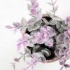 18CM eucalyptus in PaPer PulP Pot GS-0339709 3 18CM eucalyptus in PaPer PulP Pot GS-0339709