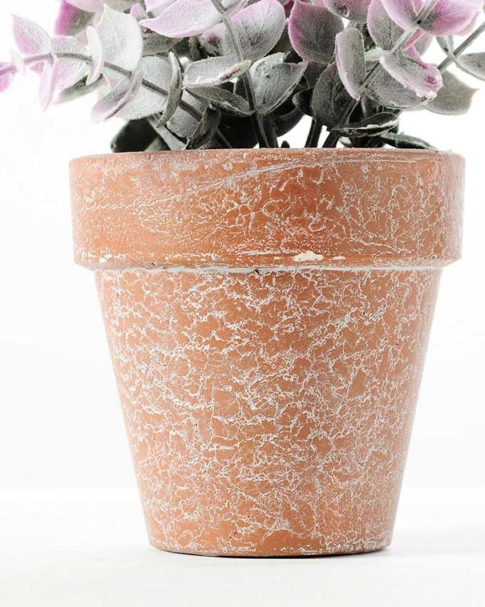 18CM eucalyptus in PaPer PulP Pot GS-0339709 4 18CM eucalyptus in PaPer PulP Pot GS-0339709