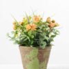 20CM Mini Rose in PaPer PulP Pot GS-0339719 1 20CM Mini Rose in PaPer PulP Pot GS-0339719
