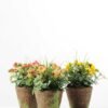 20CM Mini Rose in PaPer PulP Pot GS-0339719 3 20CM Mini Rose in PaPer PulP Pot GS-0339719