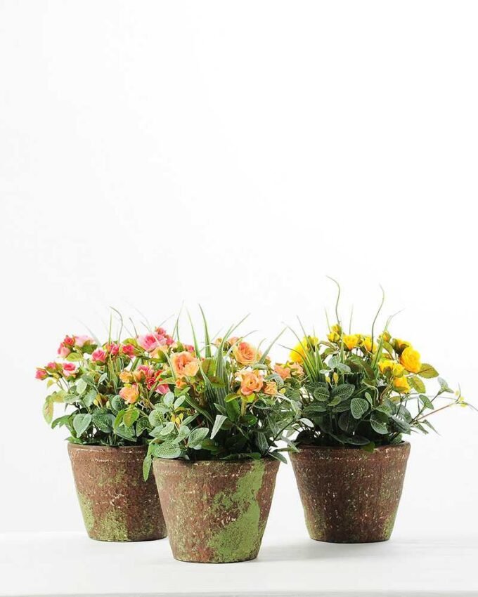 20CM Mini Rose in PaPer PulP Pot GS-0339719 3 20CM Mini Rose in PaPer PulP Pot GS-0339719