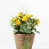 20CM Mini Rose in PaPer PulP Pot GS-0339719 4 20CM Mini Rose in PaPer PulP Pot GS-0339719
