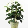 33CM Glutinous rice leaf plants in metal Pot GS-0339726
