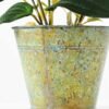 33CM Glutinous rice leaf plants in metal Pot GS-0339726