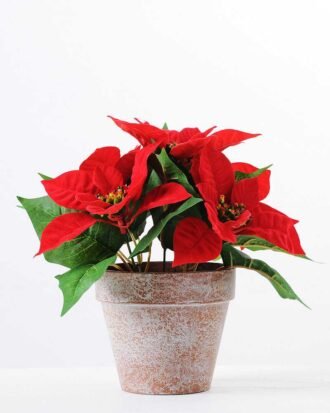 5* Poinsettia in paper pot H:25CM GS-0339742 Potted Flowers&Plants YeahFlower is one of Chinese leading OEM manufacturers and exporters , supplying the silk flowers, wholesale artificial trees 5* Poinsettia in paper pot H:25CM GS-0339742