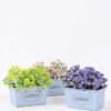 Mini grass in Metal pot GS-0339788 1 Mini grass in Metal pot GS-0339788