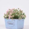 Mini grass in Metal pot GS-0339788 4 Mini grass in Metal pot GS-0339788