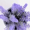 Lavender in Paper wrap pot GS-0339794
