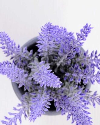 Lavender in Paper wrap pot GS-0339794 Potted Flowers&Plants YeahFlower is one of Chinese leading OEM manufacturers and exporters , supplying the silk flowers, wholesale artificial trees Lavender in Paper wrap pot GS-0339794