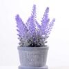 Lavender in Paper wrap pot GS-0339794
